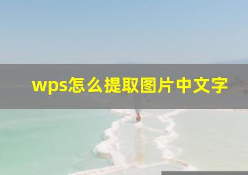 wps怎么提取图片中文字