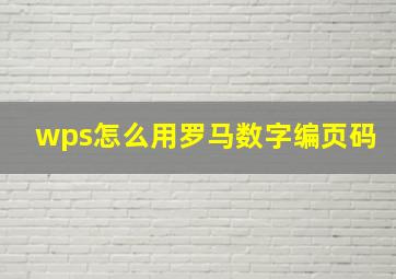 wps怎么用罗马数字编页码