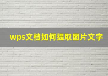 wps文档如何提取图片文字