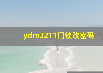 ydm3211门锁改密码