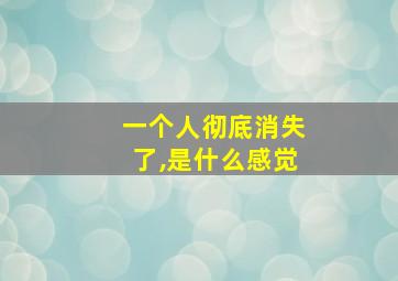 一个人彻底消失了,是什么感觉