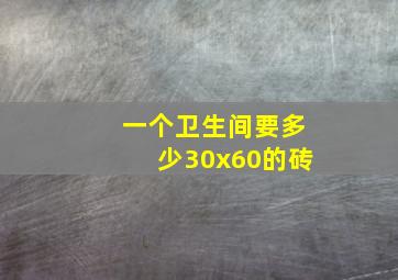 一个卫生间要多少30x60的砖