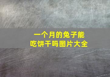 一个月的兔子能吃饼干吗图片大全