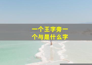 一个王字旁一个与是什么字