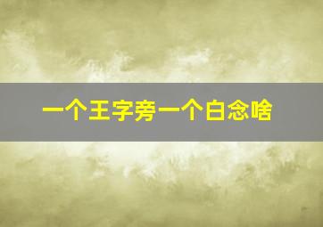 一个王字旁一个白念啥