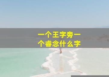 一个王字旁一个睿念什么字