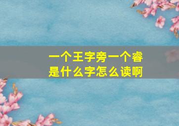 一个王字旁一个睿是什么字怎么读啊