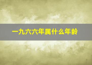 一九六六年属什么年龄