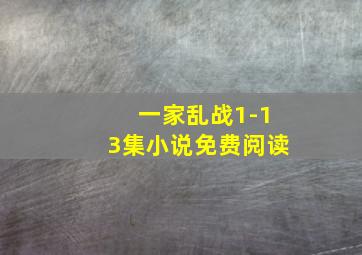 一家乱战1-13集小说免费阅读