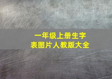 一年级上册生字表图片人教版大全