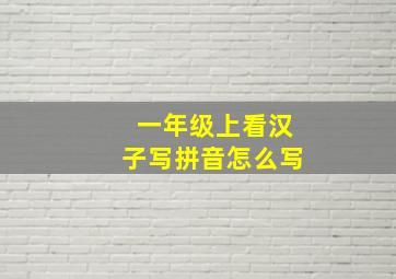 一年级上看汉子写拼音怎么写