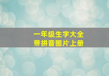 一年级生字大全带拼音图片上册