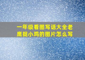 一年级看图写话大全老鹰捉小鸡的图片怎么写