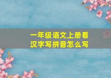 一年级语文上册看汉字写拼音怎么写