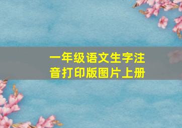 一年级语文生字注音打印版图片上册