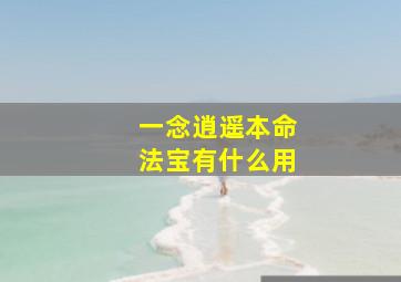 一念逍遥本命法宝有什么用