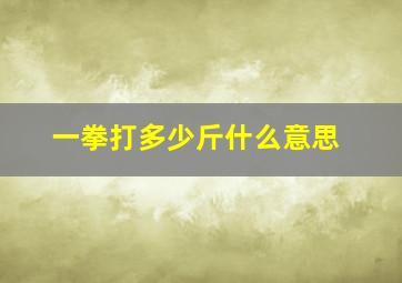 一拳打多少斤什么意思