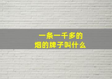 一条一千多的烟的牌子叫什么