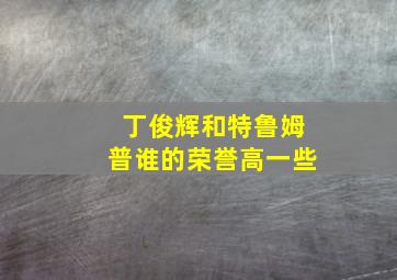 丁俊辉和特鲁姆普谁的荣誉高一些