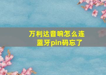 万利达音响怎么连蓝牙pin码忘了