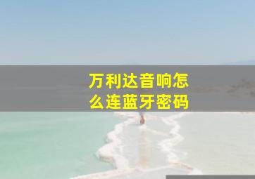 万利达音响怎么连蓝牙密码