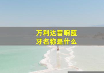 万利达音响蓝牙名称是什么