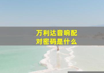 万利达音响配对密码是什么