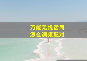 万能无线话筒怎么调频配对