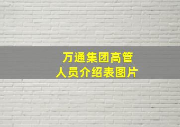 万通集团高管人员介绍表图片