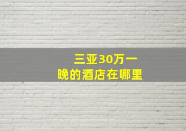 三亚30万一晚的酒店在哪里