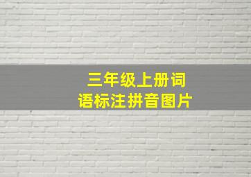 三年级上册词语标注拼音图片