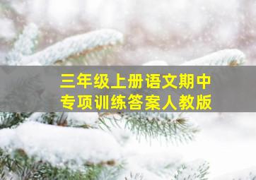 三年级上册语文期中专项训练答案人教版