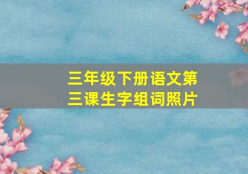 三年级下册语文第三课生字组词照片