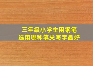 三年级小学生用钢笔选用哪种笔尖写字最好