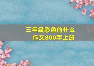 三年级彩色的什么作文800字上册