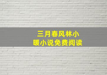 三月春风林小暖小说免费阅读