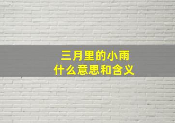 三月里的小雨什么意思和含义