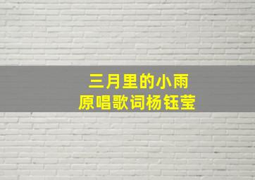 三月里的小雨原唱歌词杨钰莹