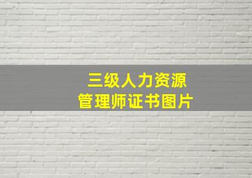 三级人力资源管理师证书图片