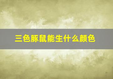 三色豚鼠能生什么颜色