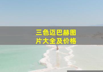 三色迈巴赫图片大全及价格