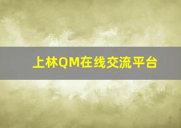 上林QM在线交流平台