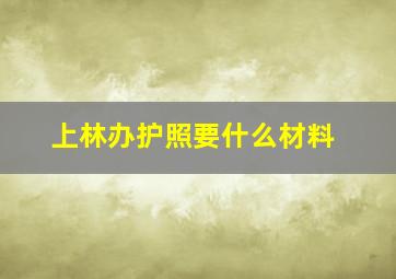 上林办护照要什么材料