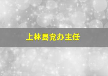 上林县党办主任