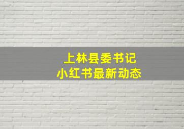 上林县委书记小红书最新动态