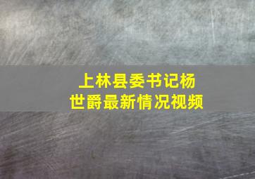 上林县委书记杨世爵最新情况视频