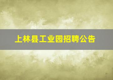 上林县工业园招聘公告