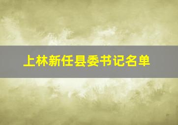 上林新任县委书记名单