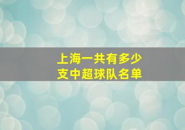 上海一共有多少支中超球队名单