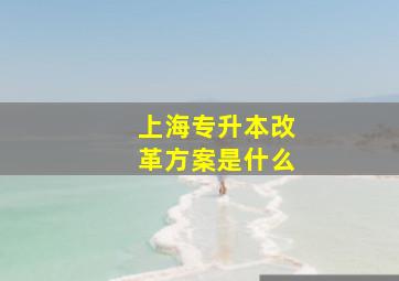 上海专升本改革方案是什么